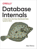 Database Internals A Deep Dive into How Distributed Data Systems Work 1st Edition ISBN  978-1492040347