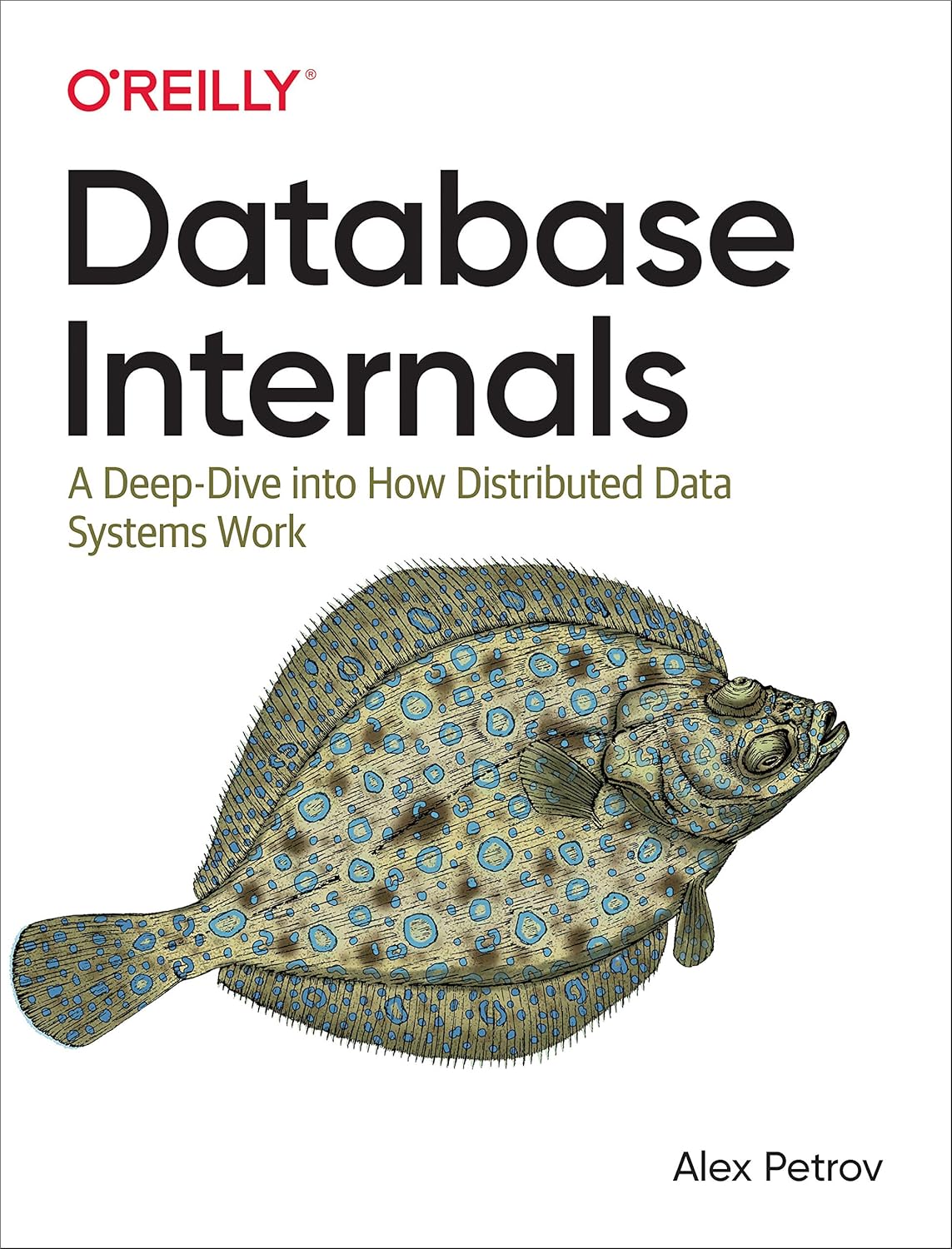 Database Internals A Deep Dive into How Distributed Data Systems Work 1st Edition ISBN  978-1492040347
