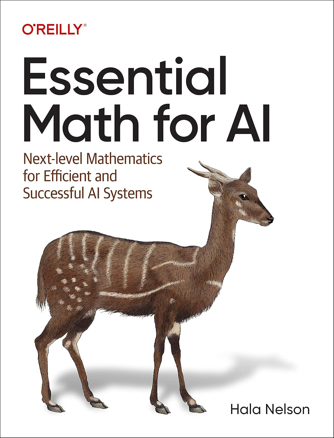 Essential Math for AI: Next-Level Mathematics for Efficient and Successful AI Systems 1st Edition ISBN: 978-1098107635