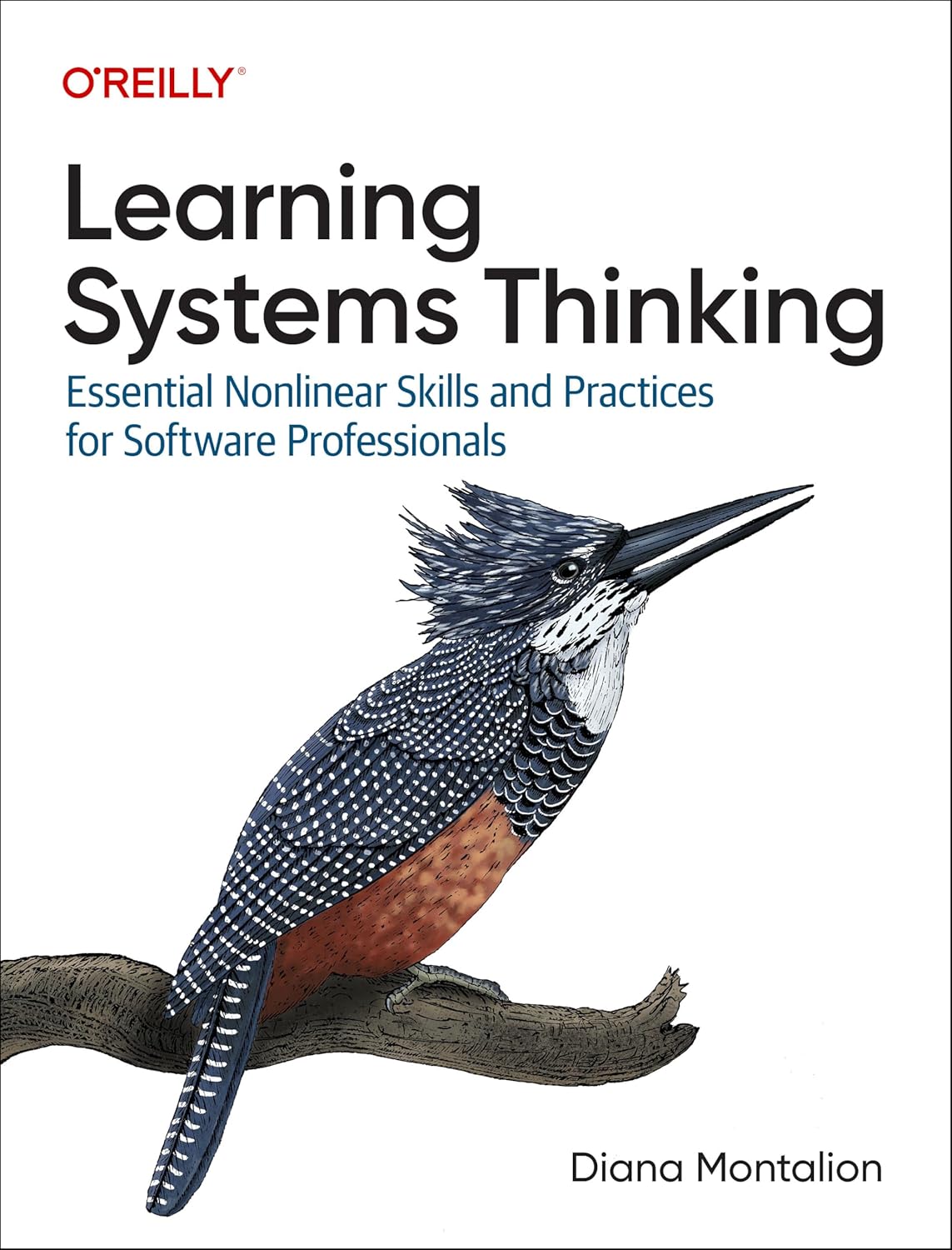 Learning Systems Thinking: Essential Nonlinear Skills and Practices for Software Professionals 1st Edition ISBN: 978-1098151331
